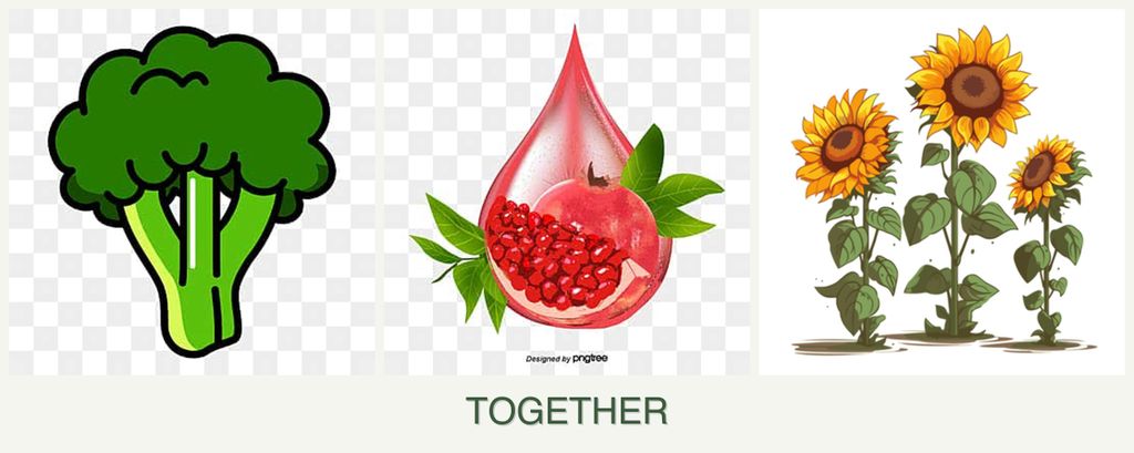 Can you plant broccoli, pomegranates and sunflowers together?