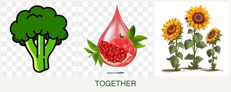 Can you plant broccoli, pomegranates and sunflowers together?
