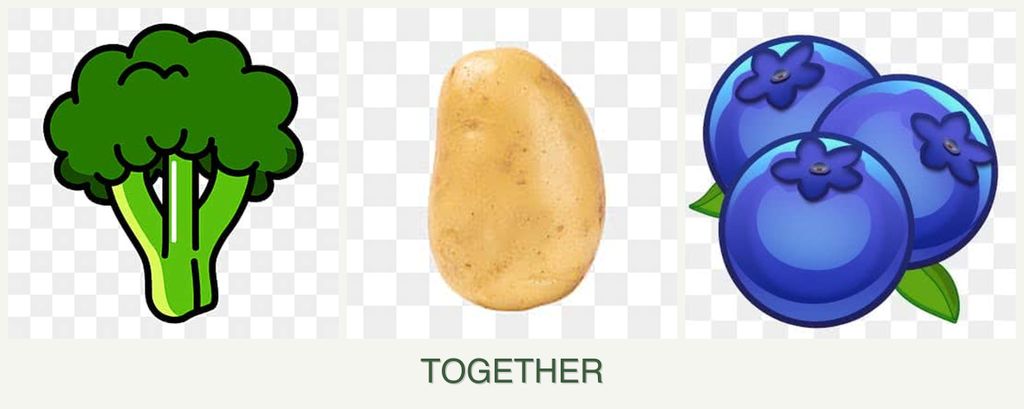 Can you plant broccoli, potatoes and blueberries together?