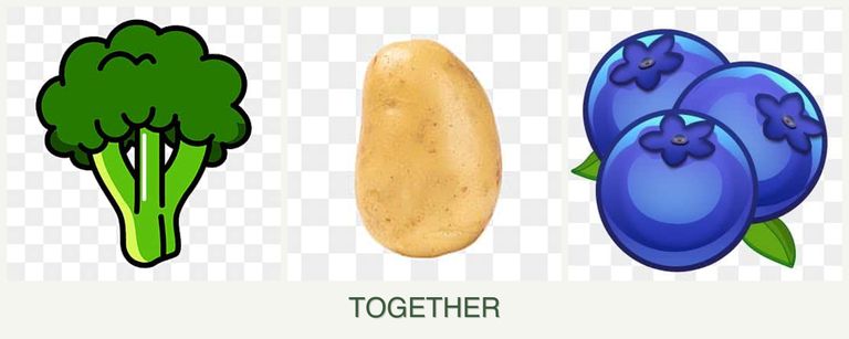 Can you plant broccoli, potatoes and blueberries together?