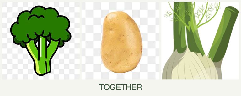 Can you plant broccoli, potatoes and fennel together?