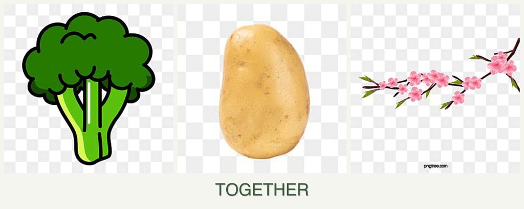 Can you plant broccoli, potatoes and peaches together?