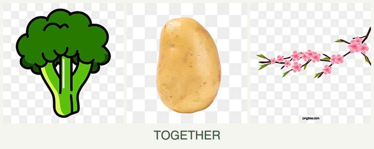 Can you plant broccoli, potatoes and peaches together?