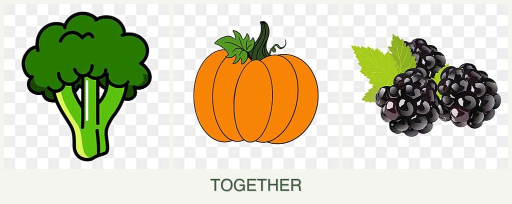 Can you plant broccoli, pumpkin and blackberries together?