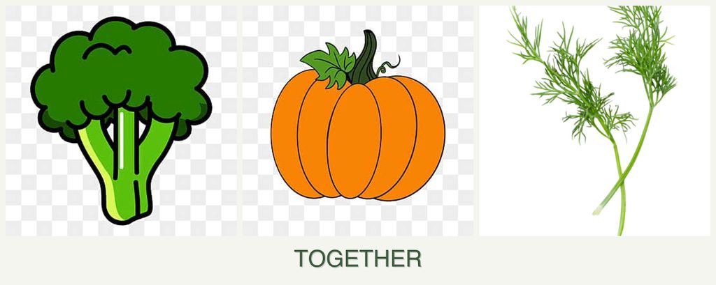 Can you plant broccoli, pumpkin and dill together?