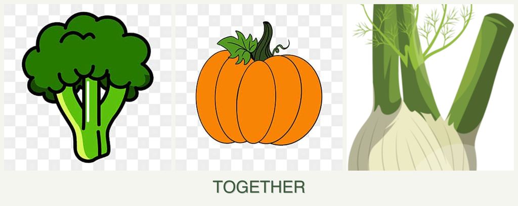 Can you plant broccoli, pumpkin and fennel together?