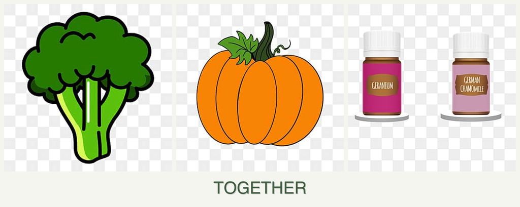 Can you plant broccoli, pumpkin and geraniums together?