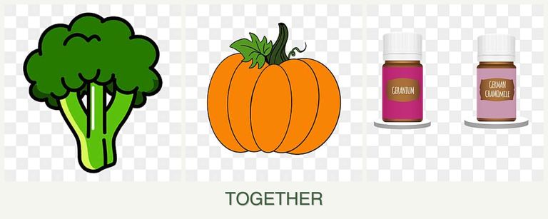 Can you plant broccoli, pumpkin and geraniums together?
