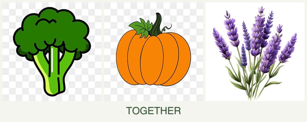 Can you plant broccoli, pumpkin and lavender together?