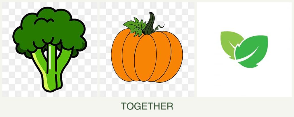 Can you plant broccoli, pumpkin and mint together?