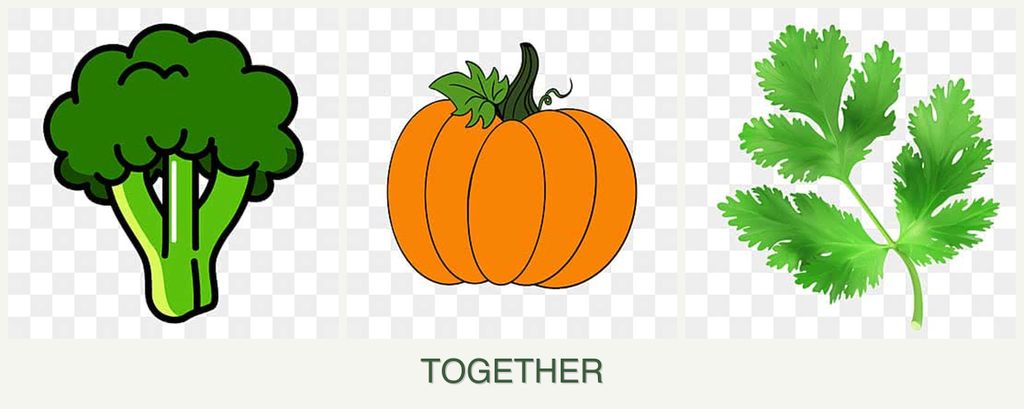 Can you plant broccoli, pumpkin and parsley together?