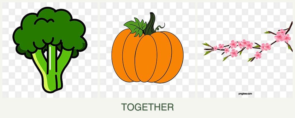 Can you plant broccoli, pumpkin and peaches together?
