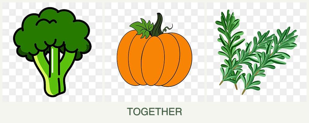 Can you plant broccoli, pumpkin and rosemary together?