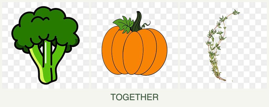 Can you plant broccoli, pumpkin and thyme together?