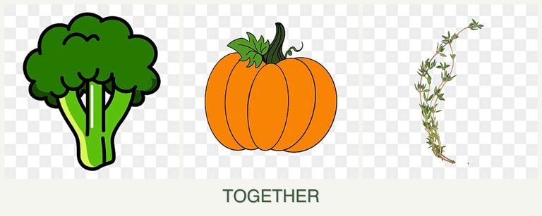 Can you plant broccoli, pumpkin and thyme together?