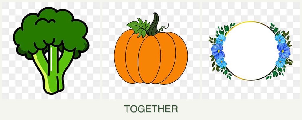 Can you plant broccoli, pumpkin and zinnias together?