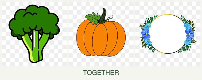 Can you plant broccoli, pumpkin and zinnias together?