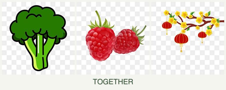 Can you plant broccoli, raspberries and apricots together?
