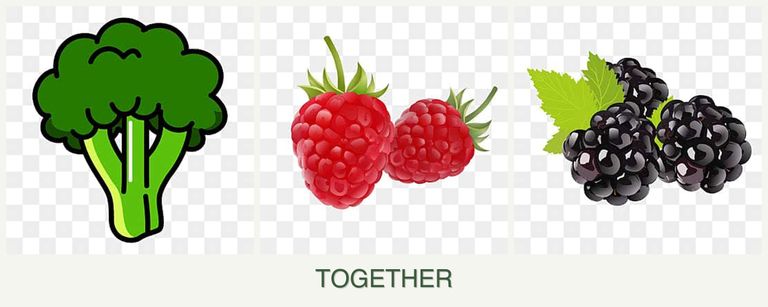 Can you plant broccoli, raspberries and blackberries together?
