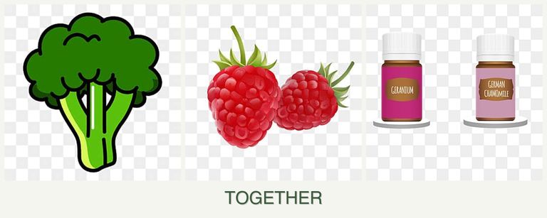Can you plant broccoli, raspberries and geraniums together?