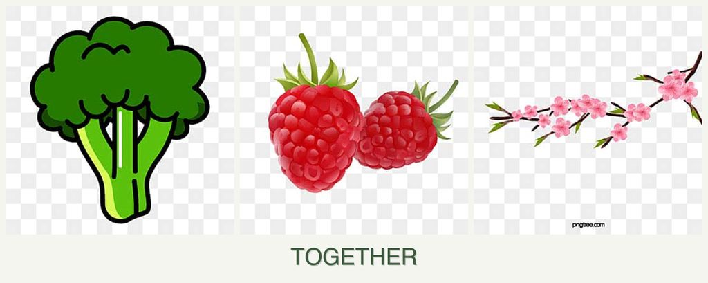Can you plant broccoli, raspberries and peaches together?