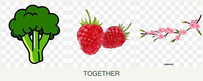 Can you plant broccoli, raspberries and peaches together?