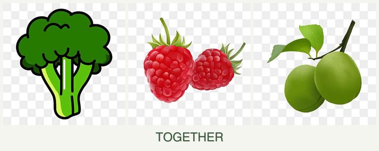 Can you plant broccoli, raspberries and plums together?