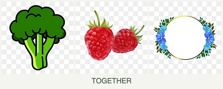 Can you plant broccoli, raspberries and zinnias together?