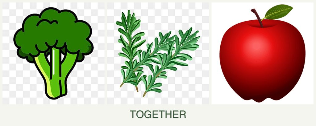 Can you plant broccoli, rosemary and apples together?