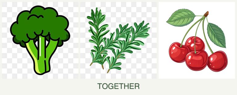 Can you plant broccoli, rosemary and cherries together?