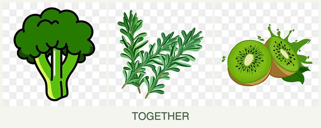 Can you plant broccoli, rosemary and kiwi together?