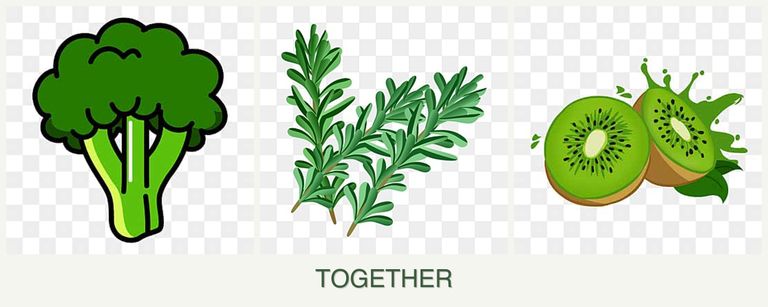 Can you plant broccoli, rosemary and kiwi together?