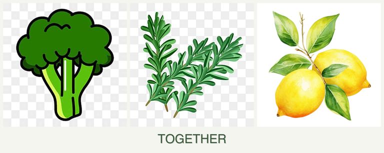 Can you plant broccoli, rosemary and lemons together?