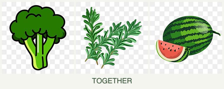 Can you plant broccoli, rosemary and melons together?
