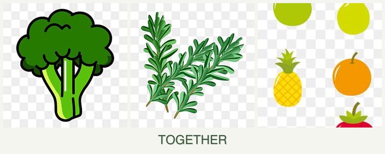 Can you plant broccoli, rosemary and pears together?