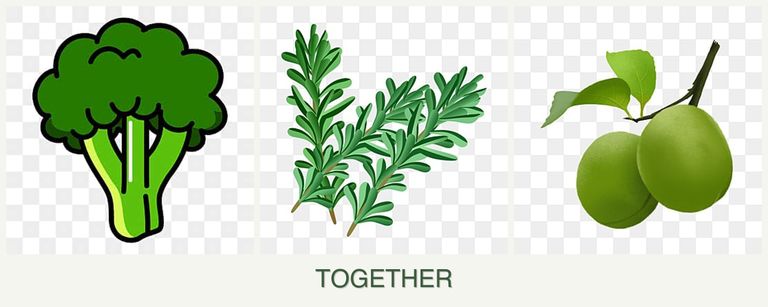 Can you plant broccoli, rosemary and plums together?