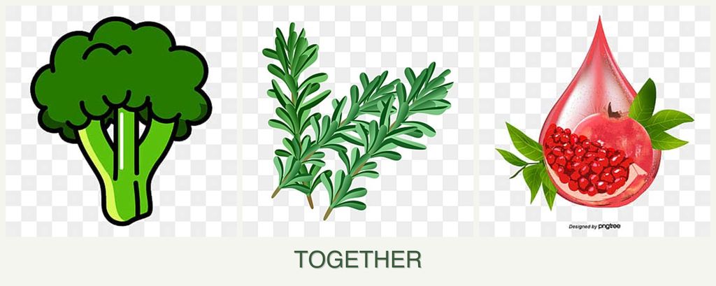 Can you plant broccoli, rosemary and pomegranates together?