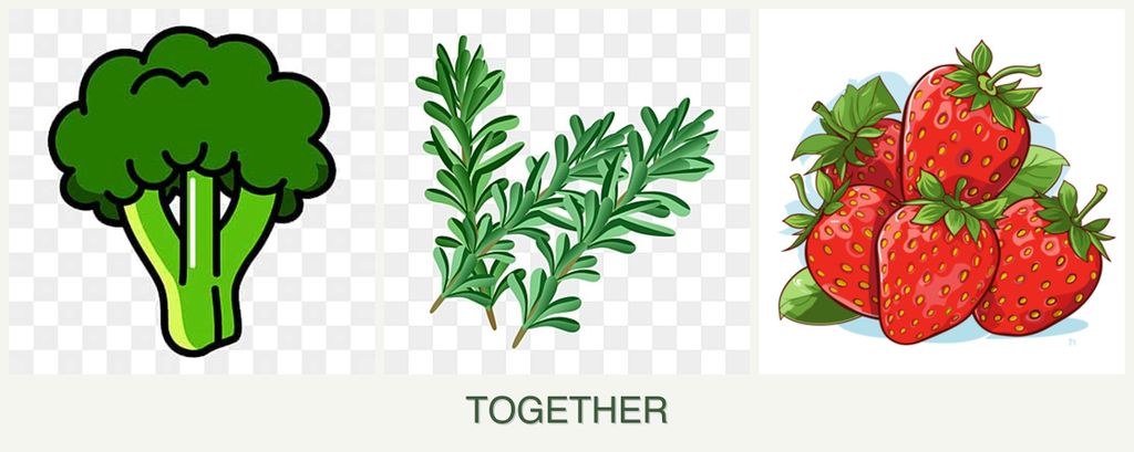Can you plant broccoli, rosemary and strawberries together?