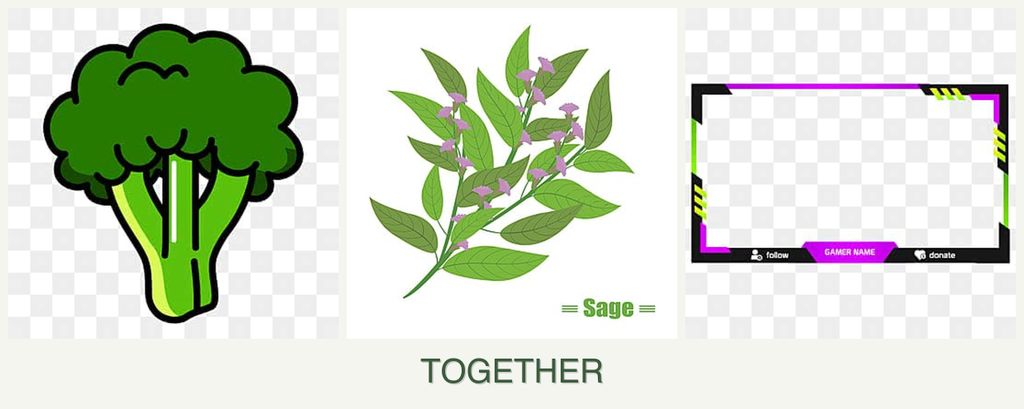 Can you plant broccoli, sage and limes together?