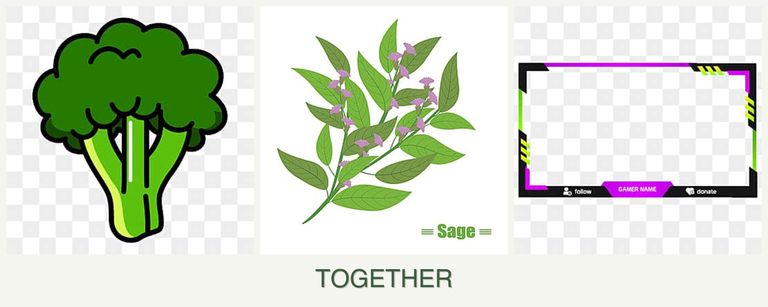 Can you plant broccoli, sage and limes together?