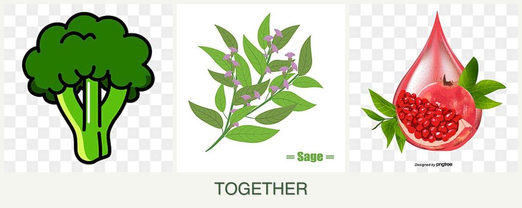Can you plant broccoli, sage and pomegranates together?