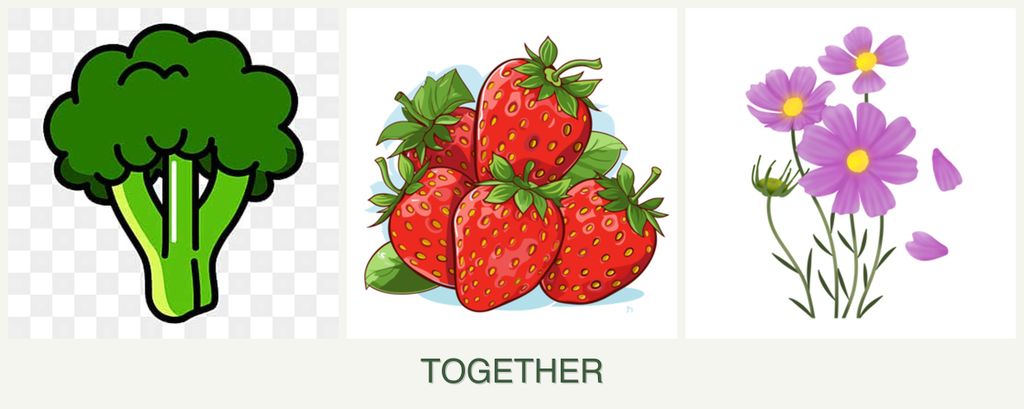 Can you plant broccoli, strawberries and cosmos together?