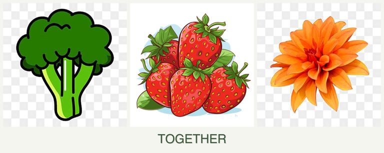 Can you plant broccoli, strawberries and dahlias together?