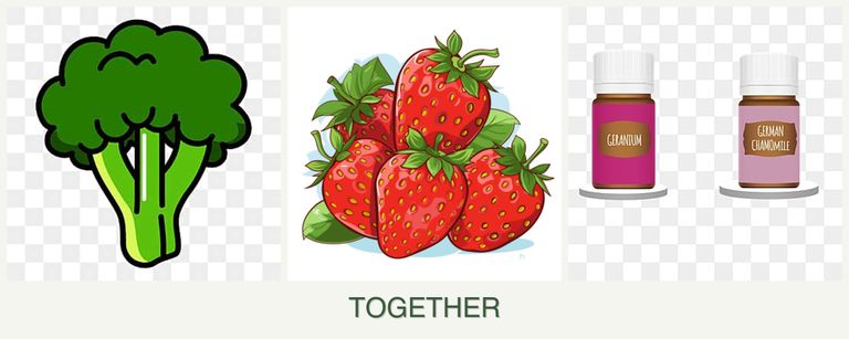 Can you plant broccoli, strawberries and geraniums together?