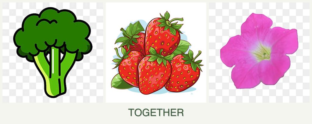 Can you plant broccoli, strawberries and petunias together?