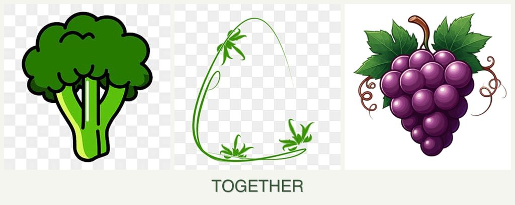 Can you plant broccoli, tarragon and grapes together?