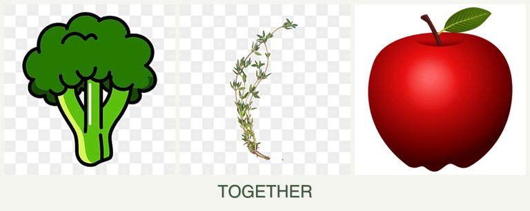 Can you plant broccoli, thyme and apples together?