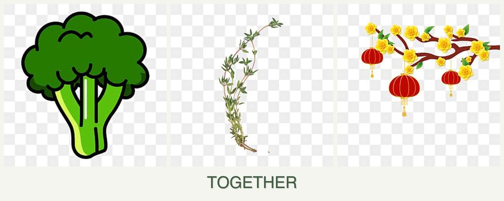 Can you plant broccoli, thyme and apricots together?