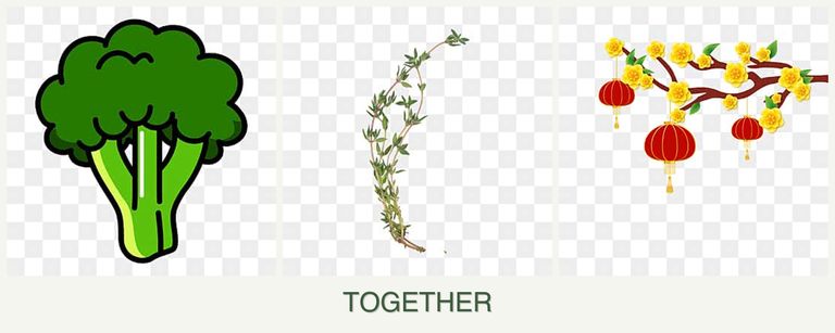 Can you plant broccoli, thyme and apricots together?