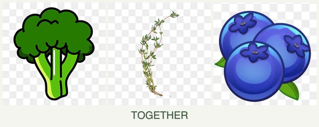 Can you plant broccoli, thyme and blueberries together?